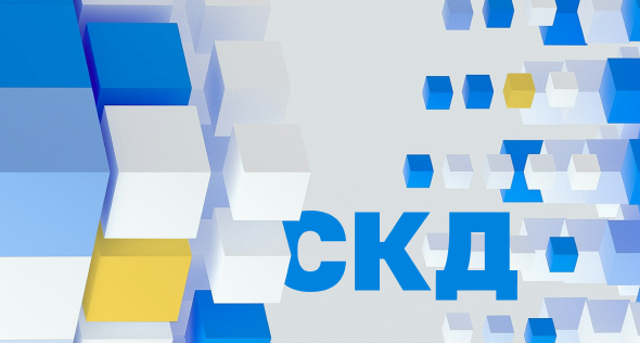 СКД: что меняется в системе под воздействием ролей <br>и функциональных опций